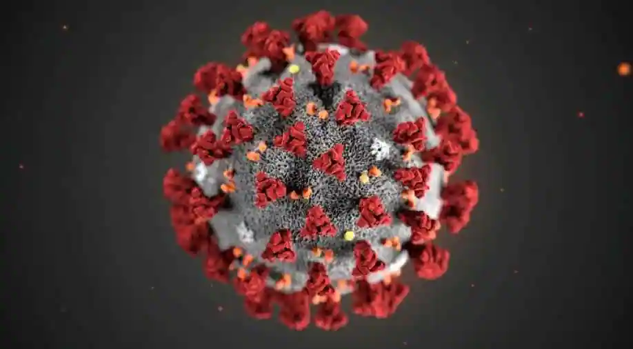 Scientists urge WHO to look further into coronavirus origins, Science & Technology News