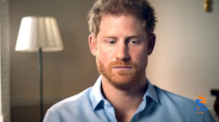 Prince Harry put on blast over ‘ludicrous’ parenting views