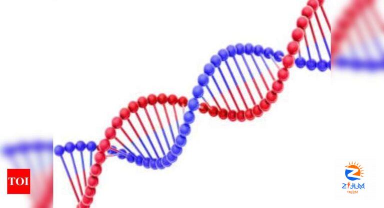 Scientists finish sequencing 100% of human genome