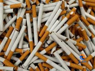 Up to 17.7 percent of Egypt’s total population are smokers: CAPMAS