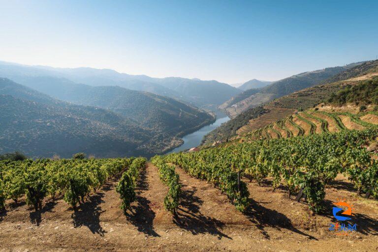 Visiting the Douro Wine Valley in Northern Portugal