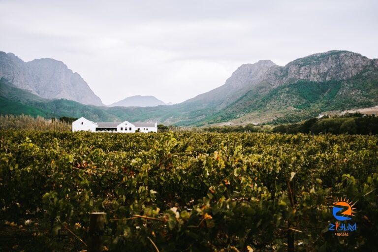 Reasons to Add the Franschhoek Wine Region to Your Cape Town Itinerary