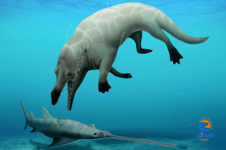 Egypt names new species of amphibious whale after Anubis