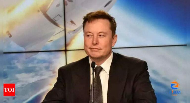 Why Elon Musk is talking about the hare and tortoise story