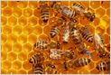 EquityBee, which runs a marketplace with ~12K investors to help startup employees exercise their stock options, raises $55M Series B led by Group 11 (Ingrid Lunden/TechCrunch)