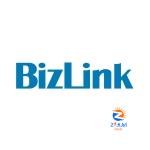 Intellasia East Asia News – BizLink Holding Inc. Wins Asiamoney Asia’s Outstanding Companies Poll 2021: Taiwan Automobiles and Components