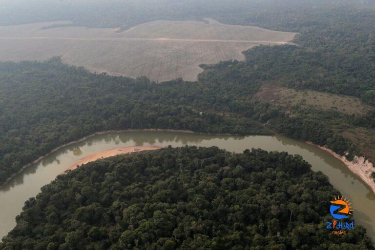 Indigenous leaders push new target to protect Amazon from deforestation