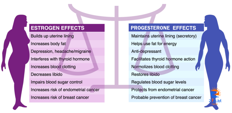 Can we reverse estrogen dominance naturally? | Naomi D’Souza