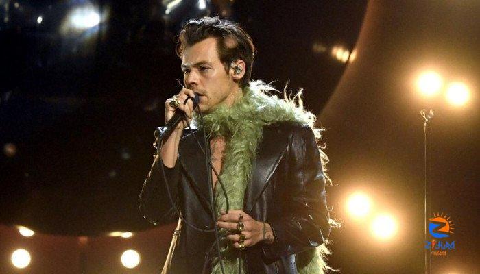 Harry Styles stops his concert mid-way to do a gender reveal for his fan’s baby