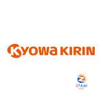 Intellasia East Asia News – Kyowa Kirin and Amgen Present Positive Late-Breaking Data from Phase 2 Study of KHK4083/AMG 451 in Adult Patients with Moderate-to-Severe Atopic Dermatitis at EADV Congress