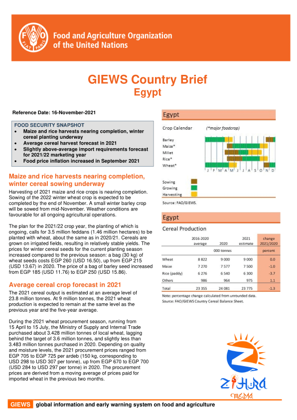 GIEWS Country Brief: Egypt 16-November-2021 – Egypt