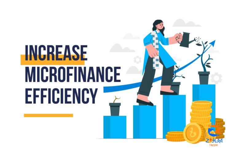 Increase Microfinance Efficiency More in a Few Ways