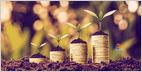 Singapore-based crypto trading platform AscendEX raises a $50M Series B co-led by Polychain Capital and Hack VC, at a $455M valuation (Andrew Asmakov/Decrypt)