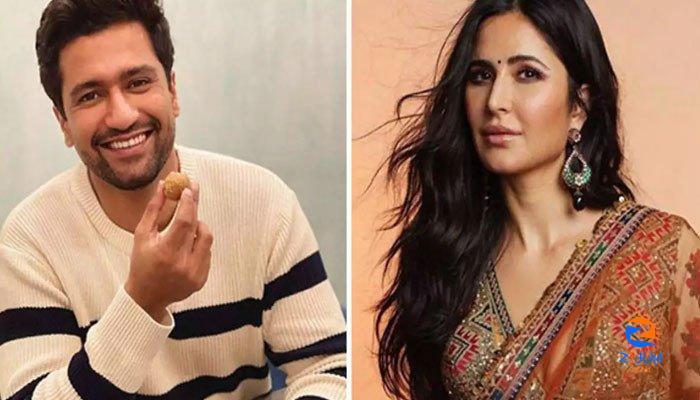 Vicky Kaushal, Katrina Kaif dubbed married by Wikipedia before big day