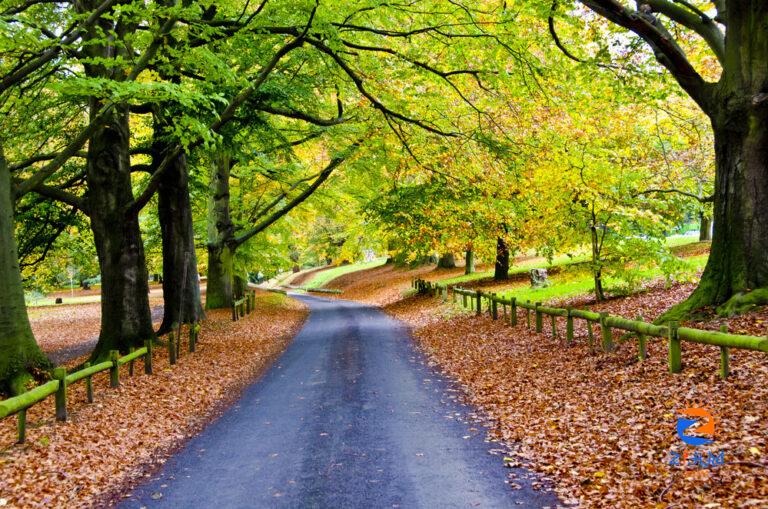 Walking Tracks of Ireland’s Mid West