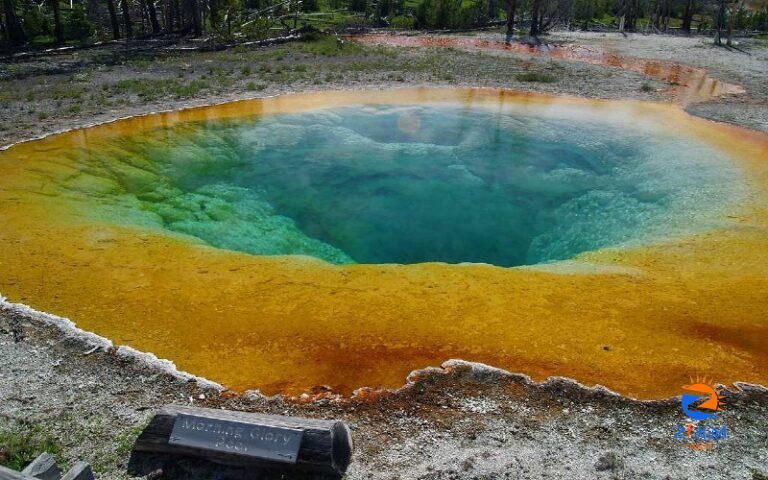 Must-Visit Destination | Yellowstone National Park