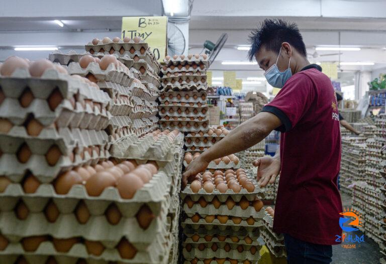 Egg shortage an ‘isolated issue’, supply will normalise after CNY