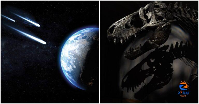 Where to see a seven billion year old sky rock, and a T-Rex