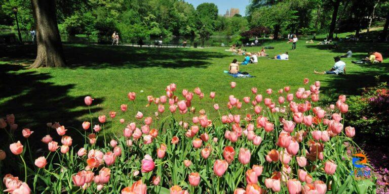 ▷ The 15 Best Things To Do in Summer in Central Park 2022