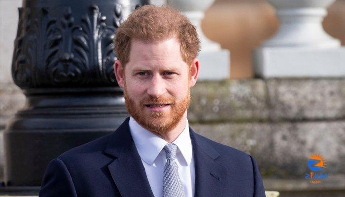 Prince Harry took money for talking about his meeting with the Queen?