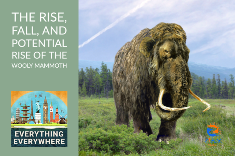 The Rise, Fall, and Possible Rise of the Wooly Mammoth