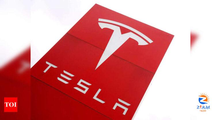 tesla: Tesla puts India entry plan on hold