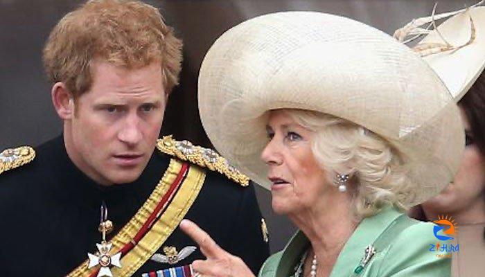 Prince Harry told Camilla attack will be ‘biggest mistake’, Queen ‘owns’ her