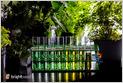 Brightseed, which develops an AI-based system called Forager to identify and categorize plant compounds for human health, raises a $68M Series B led by Temasek (Devin Coldewey/TechCrunch)