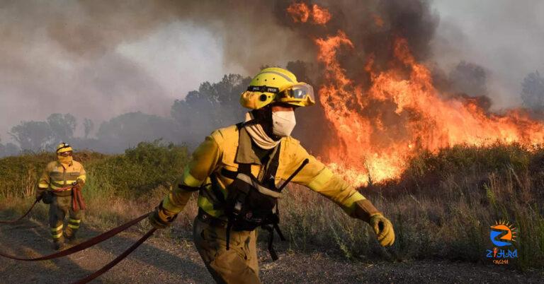 Farmhouses, cars and crops burnt to ashes as wildfires ravage southern Europe | Photogallery