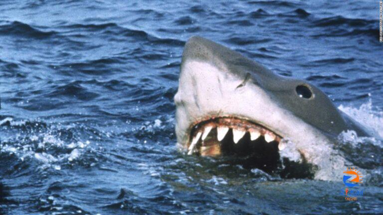 ‘Jaws’ is back on the (very) big screen as streaming swallows smaller ones