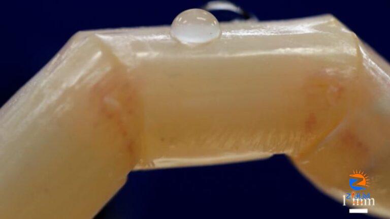 Robots can now be built with living humanlike skin