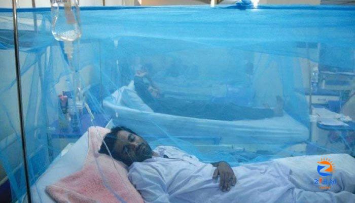 Dengue virus grips Karachi, infects 403 in 24 hours