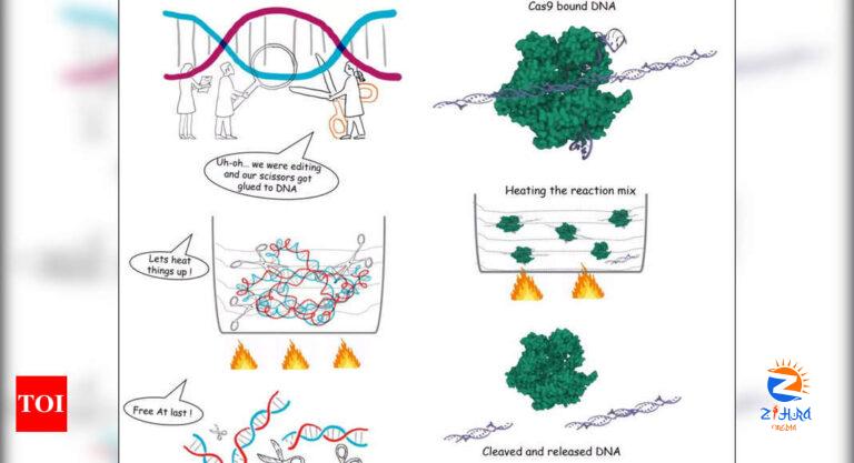 CRISPR gene-editing possible in temperature-sensitive organisms, plants: RRI