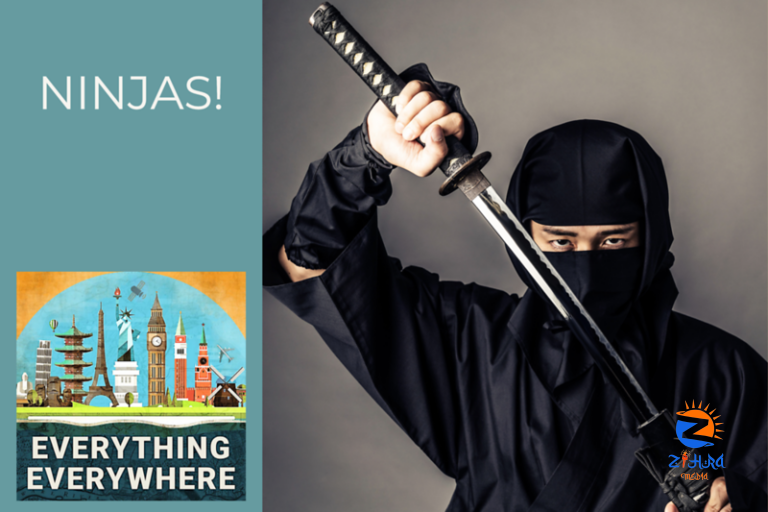 Everything You Wanted to Know About Ninjas