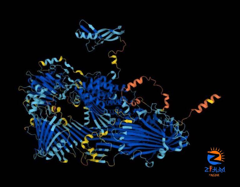 Major scientific breakthrough: Google’s AI firm releases 3D view of protein universe