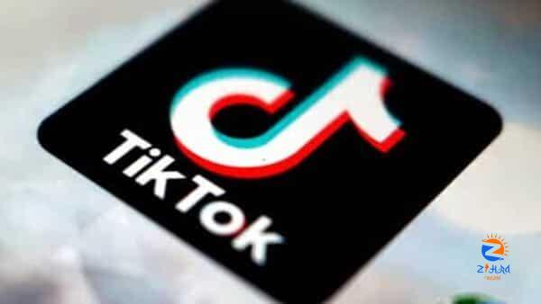 TikTok promotes toxic diet culture among teens, young adults: Study