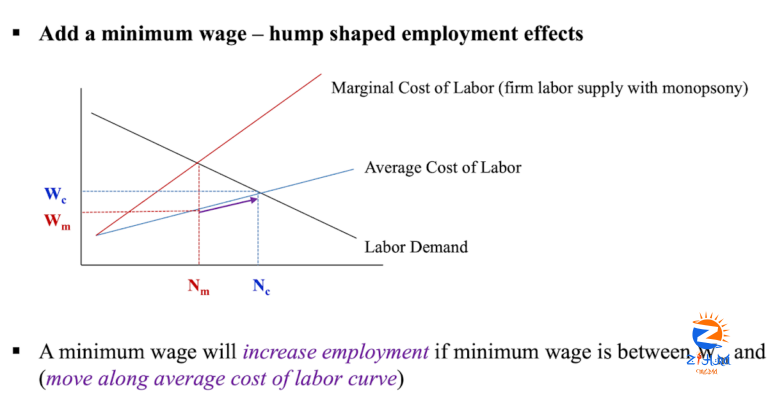 Short and long run minimum wage