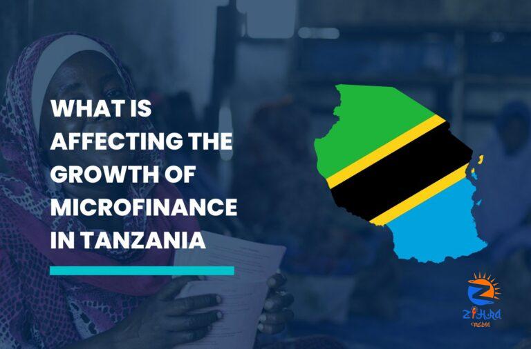 Factors Affecting the Growth of Microfinance Institutions in Tanzania