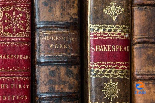 Shakespeare flagged as far right literature in UK media