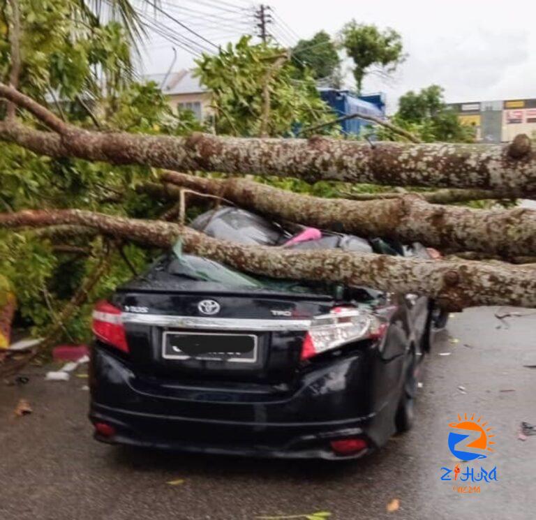 Lucky escape for woman, child after fallen tree crushes car