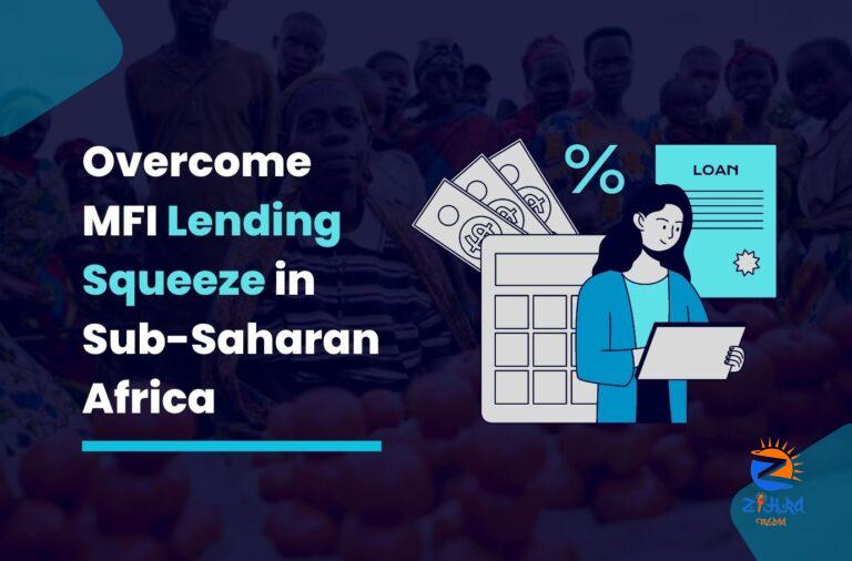 Lending Squeeze in Sub-Saharan MFIs: An Escape Plan