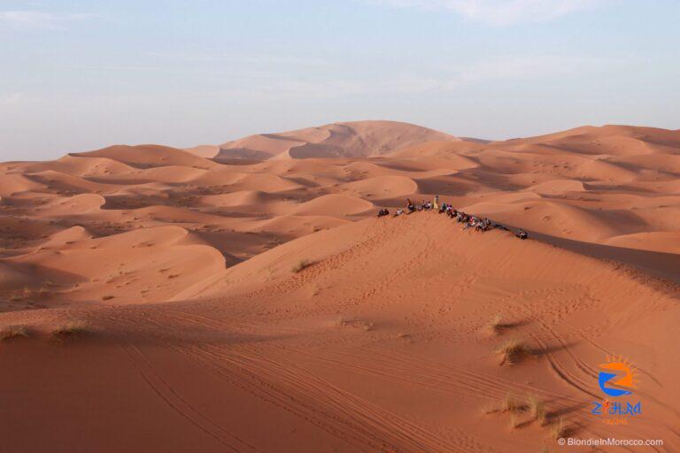 Merzouga vs Zagora desert for Sahara trip inMorocco?