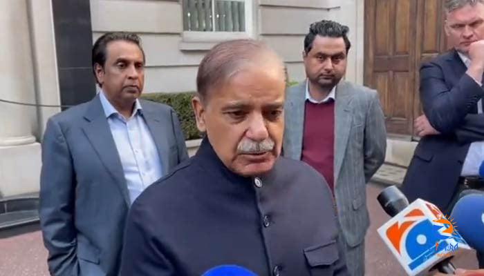 All institutions should remain within constitutional roles: PM Shehbaz