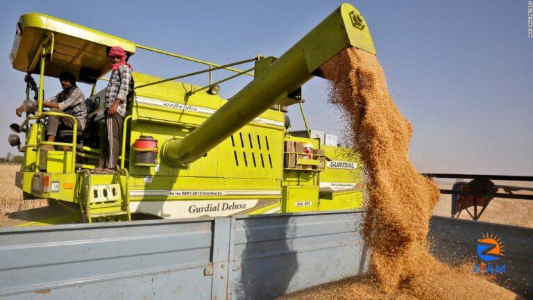 Egypt’s annual average wheat imports in 5 years total US$ 2.7 billion