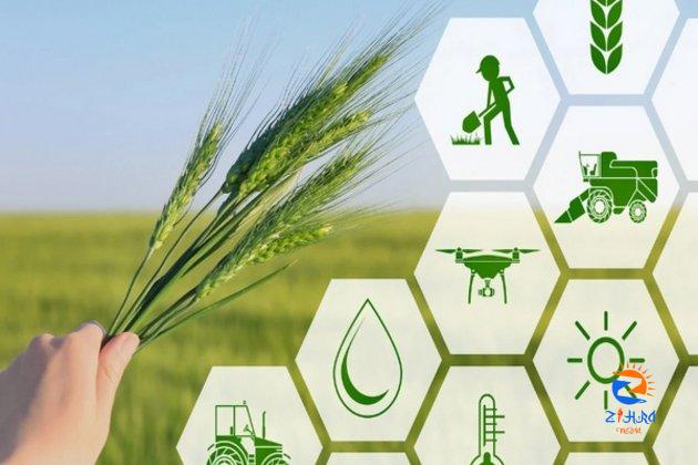 ADAFSA signs agreement with Hub71 to support development of Agri-Tech innovations