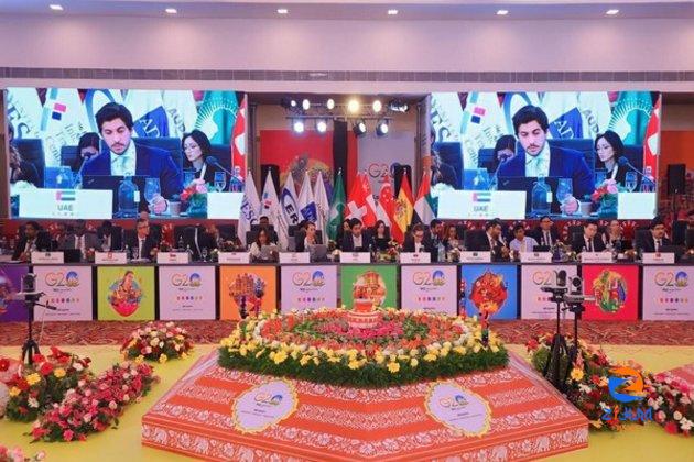 UAE participates in G20 Trade and Investment Working Group Meeting in India