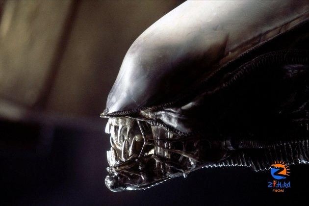 How Alien mutated from a sci-fi horror film into a multimedia universe