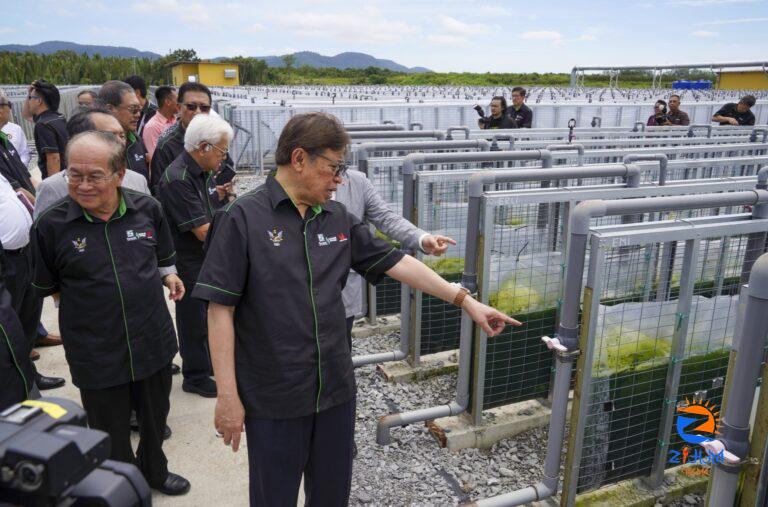 First industrial microalgae carbon capture facility to be future economic driver for Sarawak