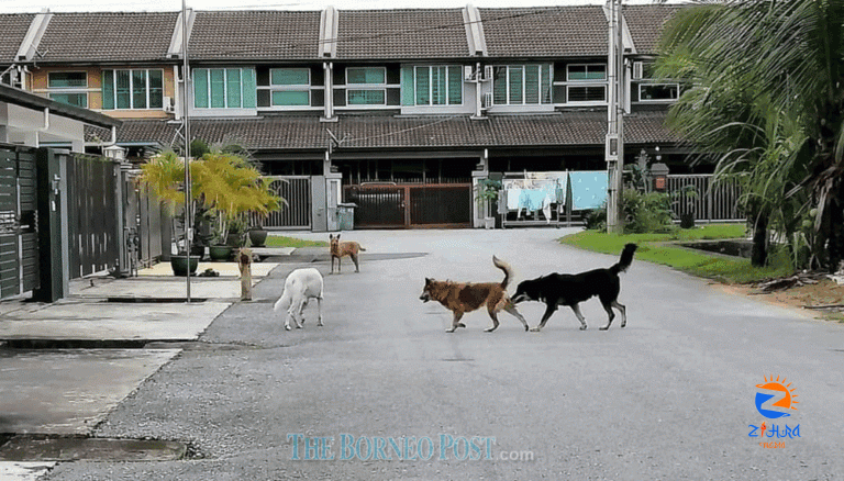 Medical association concerned about S’wak public apathy to rabies