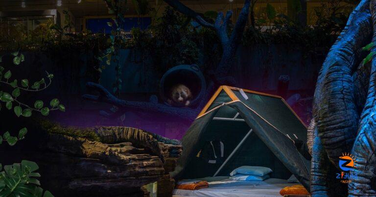 You can once again camp overnight at The Green Planet in Dubai